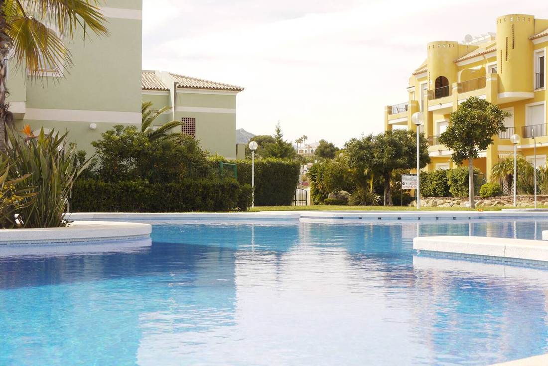 Piscina comunitaria rodeada de césped y palmeras