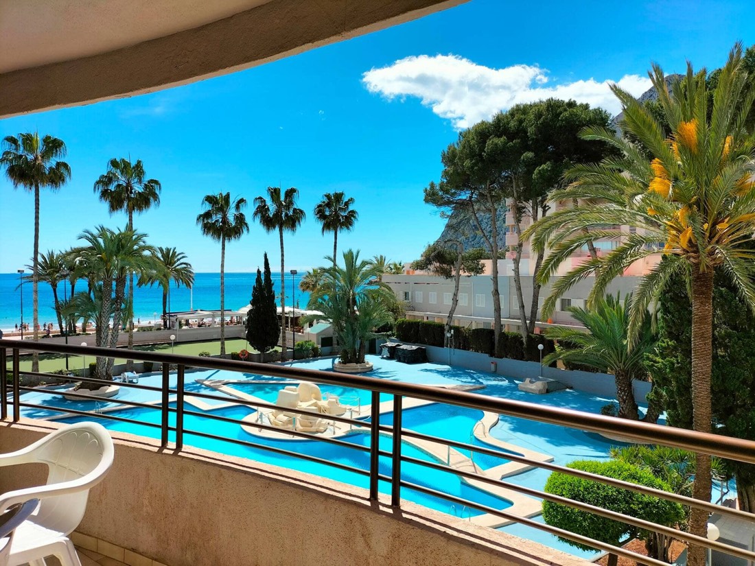 Vista de las palmeras y el mar desde la terraza