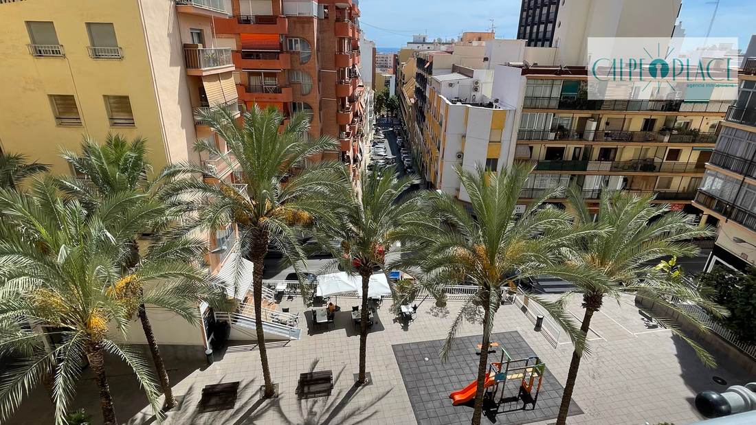 Vistas desde el balcón a la plaza con palmeras
