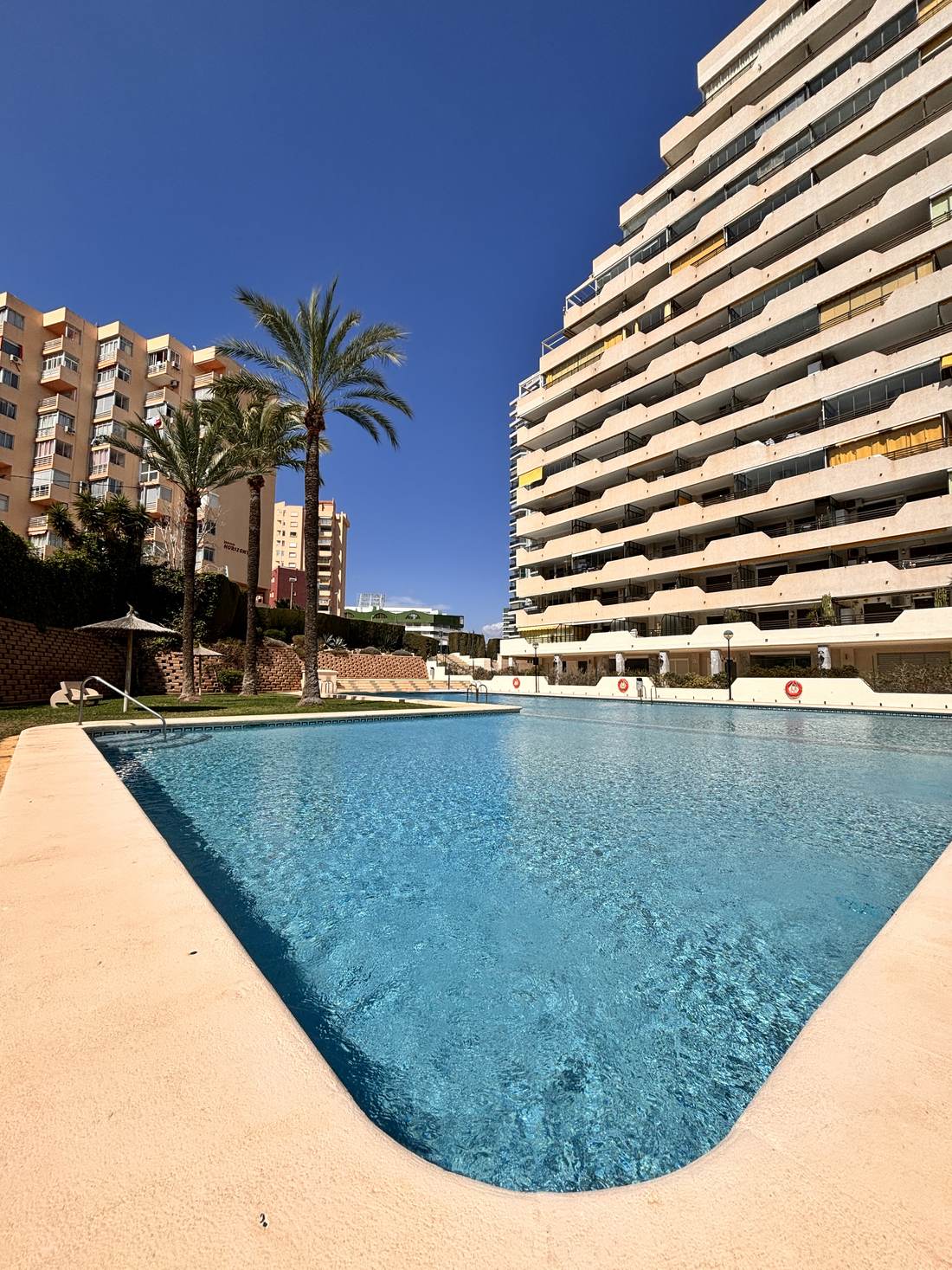 Piscina comunitaria rodeada de césped y palmeras