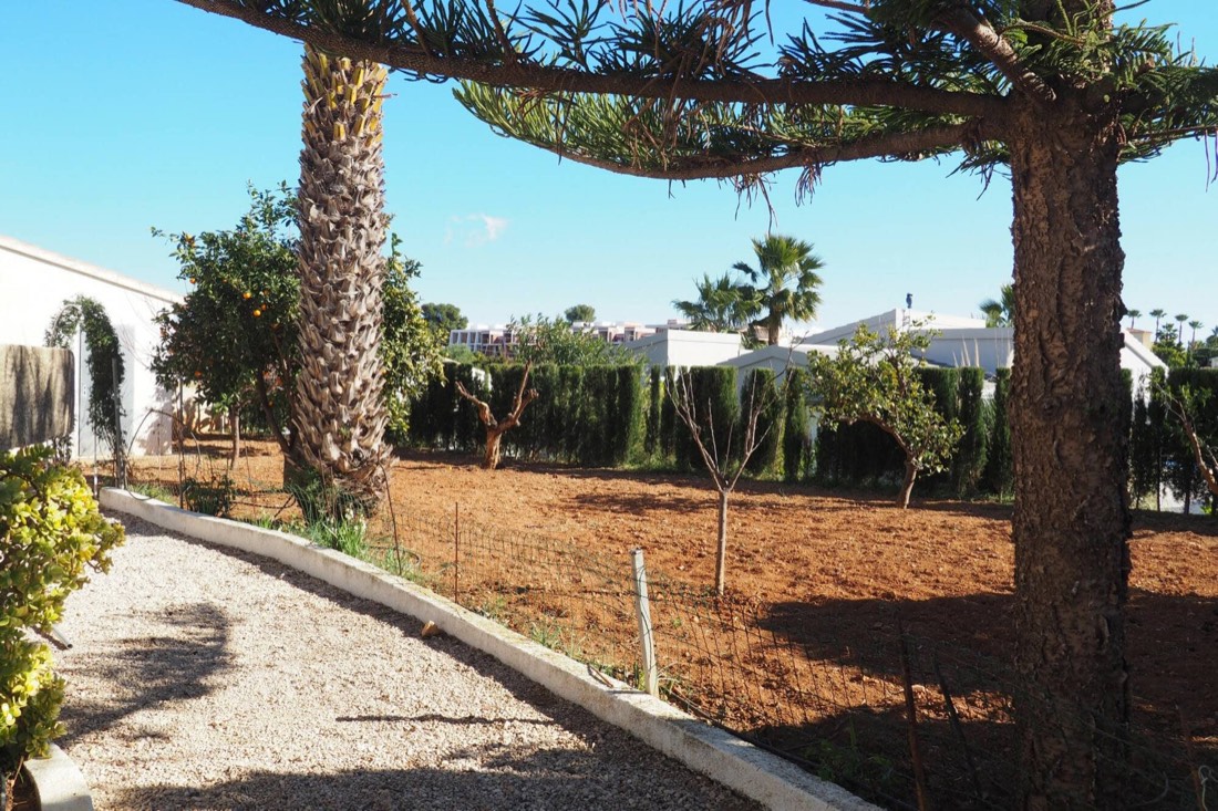Jardín con árboles frutales y palmeras