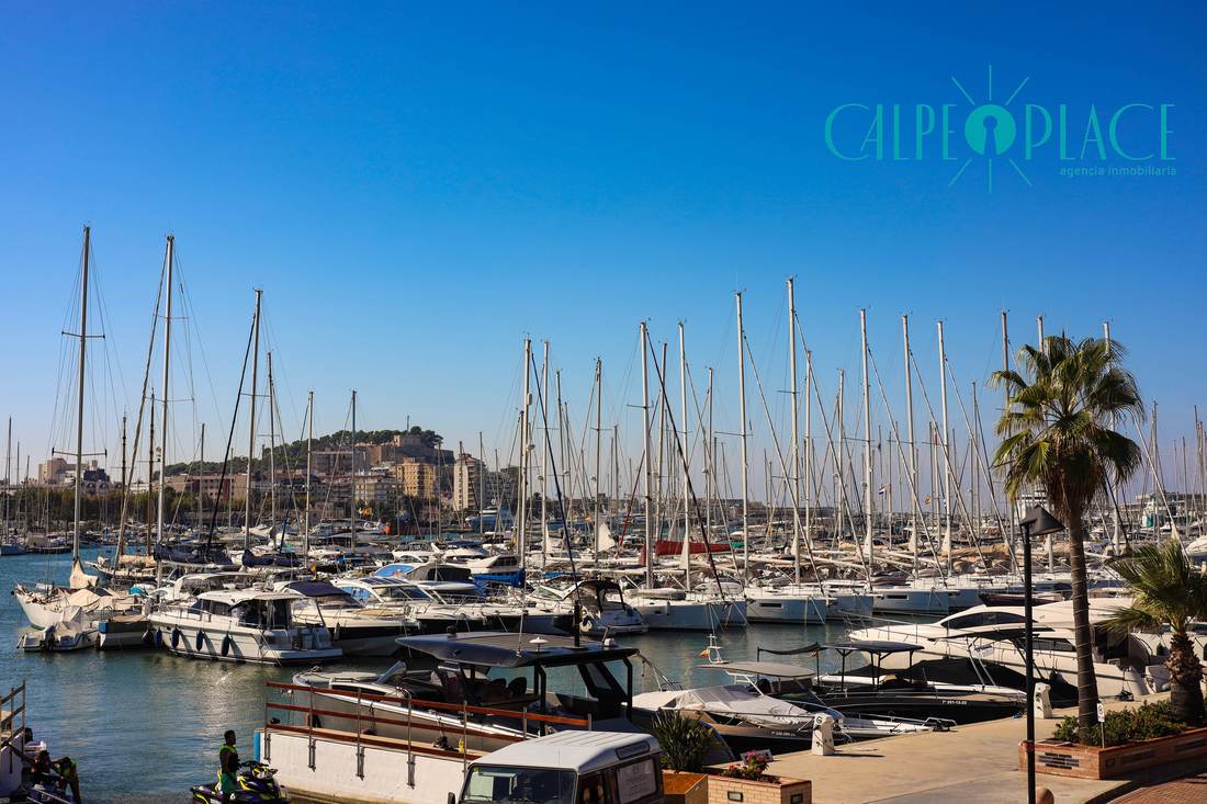 El puerto deportivo de Denia con los veleros