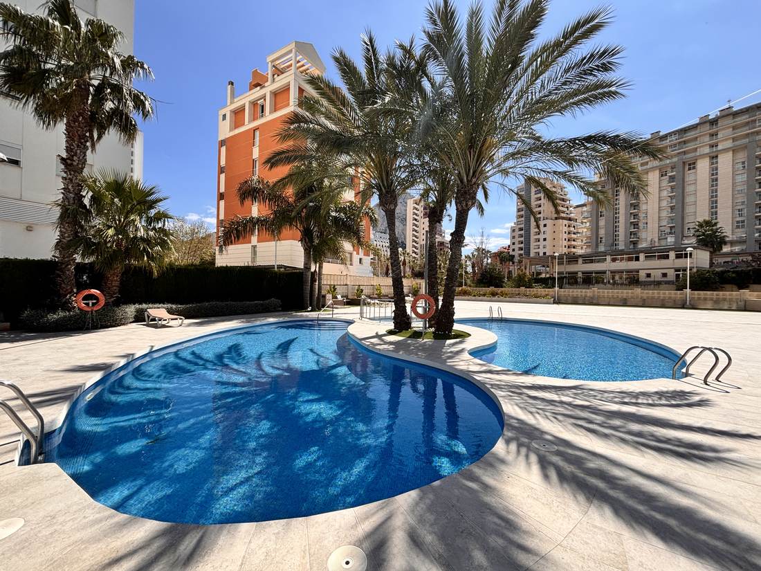 Piscina comunitaria entre palmeras