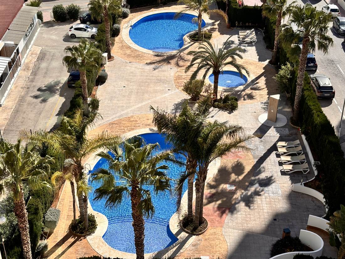 Piscina comunitaria rodeada de palmeras