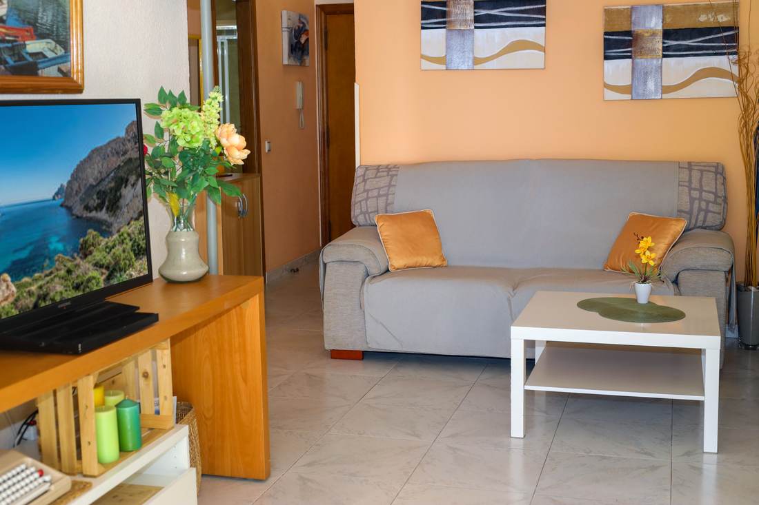 Salón con sofá gris y televisión