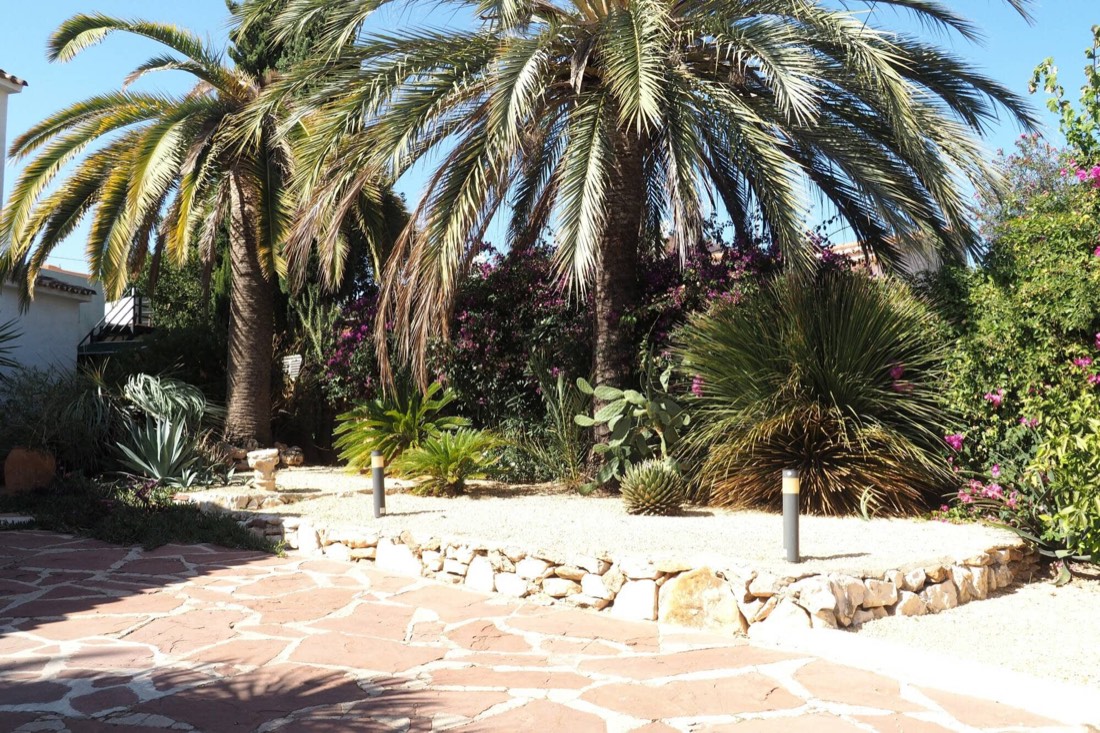 Jardín con palmeras y vegetación mediterránea