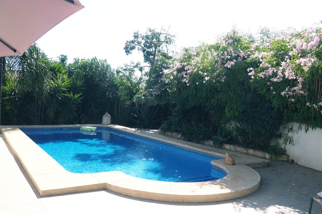 La piscina y el jardín — Villa Ricarlos