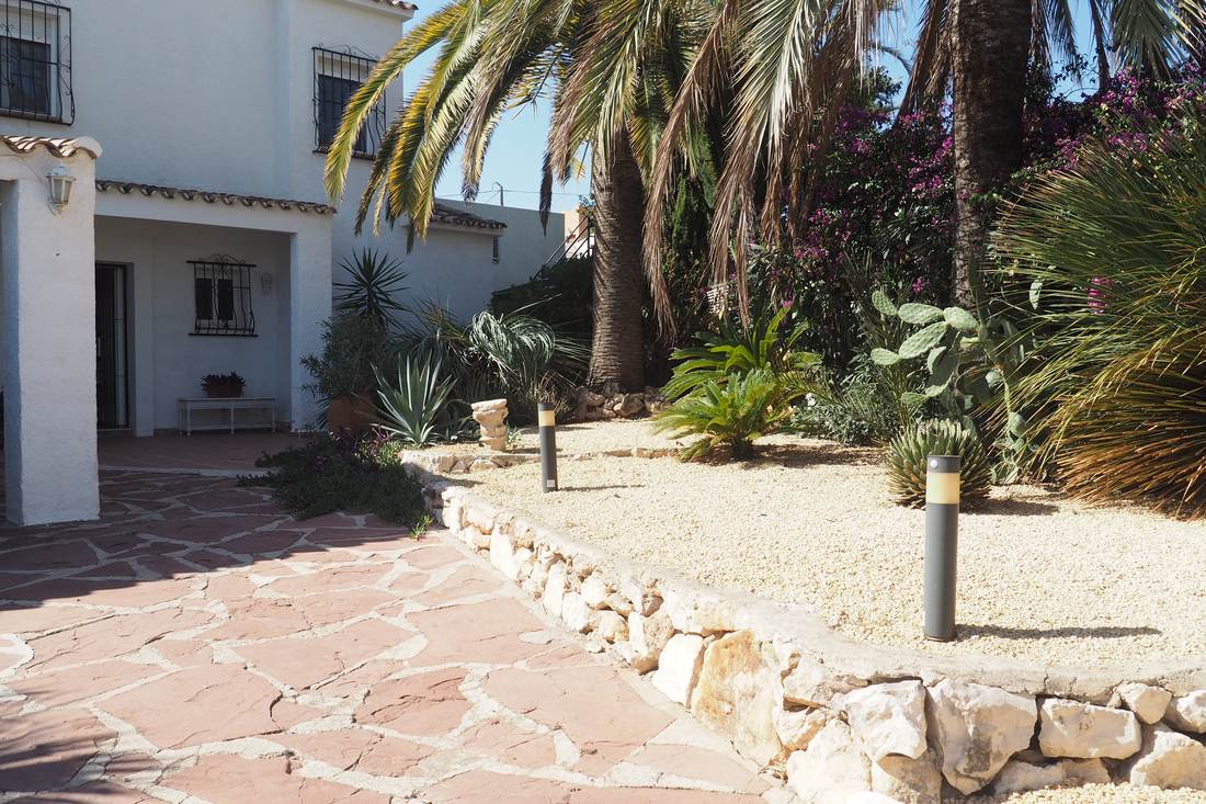 El jardín, con palmeras y cactus — Villa Ricarlos